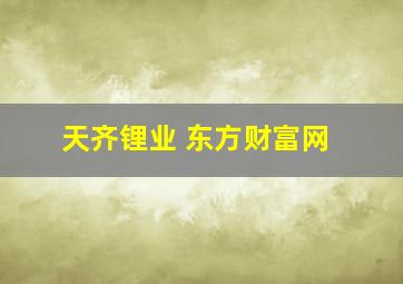 天齐锂业 东方财富网